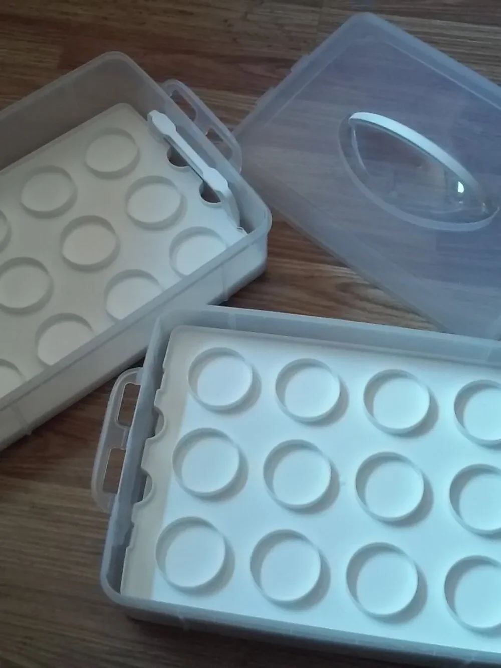 Snapware Reversible Trays Food Or Eggs Carrier